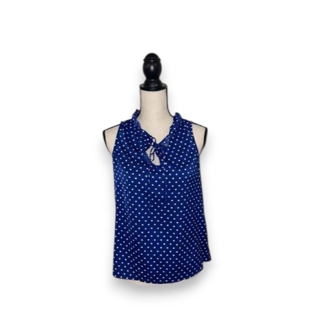 J. Crew Blue and White Tie Front Ruffled Blouse